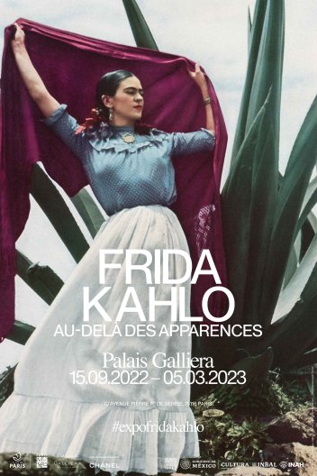 Affiche Frida Kahlo au-delà des apparence 