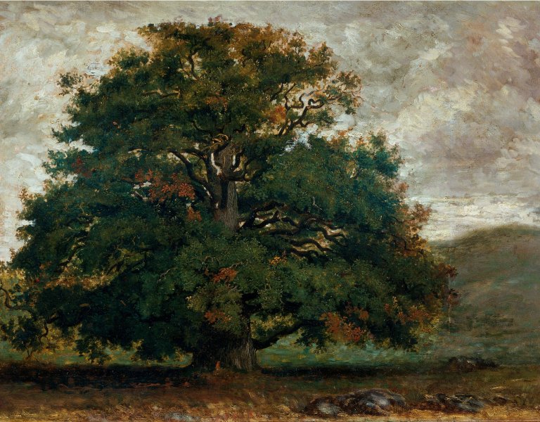 Théodore Rousseau, Un arbre dans la forêt de Fontainebleau, 1849