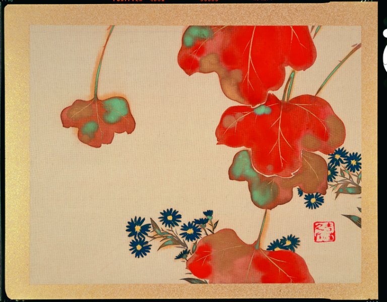 Kamisaka Sekka, Fleurs et plantes des douze mois (détail), entre 1920 et 1925,  deux feuilles d’album d’un ensemble de douze feuilles, encre et couleurs sur soie, Musée Hosomi, Kyōto Ogata Kōrin, 